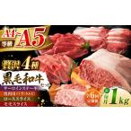 牛肉 セット 全6回定期便 くまもと黒毛和牛 藤彩牛 厳選4種の贅沢セット