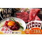 馬肉 全6回定期便 フジチク 馬刺し と ユッケのセット