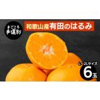 果物類 みかん まごころ手選別 はるみ 約1.5kg