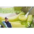 ふるさと納税 メロン 愛知県 田原市 先行予約 すず農園 オルフェメロン3玉 オルフェメロン メロン ハウスメロン デザート フルーツ 果物 旬 お盆 愛知県 田原…