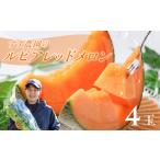 ふるさと納税 メロン 愛知県 田原市  先行予約 すず農園 ルピアレッドメロン（1.2キロ以上×4玉） ルピアメロン メロン ハウスメロン デザート フルーツ 果物 …