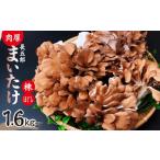 fu.... налог овощи вид .. . Gunma префектура Maebashi город .... длина ........500g×2 шт ...300g×2 пакет всего 1600g 1 выпуск l Mai ..... рецепт имеется ju-si-...