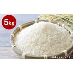 ふるさと納税 米 熊本県 湯前町 「訳あり」湯前町のお米 5kg 米 お米 ご飯 ごはん 白米 精米 1袋 訳あり 訳アリ 熊本県 湯前町