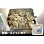 ふるさと納税 牡蠣 宮城県 石巻市 牡蠣のカンカン焼き 牡蠣 かき カキ カンカン焼き キャンプ 殻付 殻付き アレンジ 味付 味付け 宮城 石巻