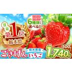 ふるさと納税 いちご 栃木県 那珂川町 栃木県共通返礼品 チョイス限定企画 先行予約 とちあいか 秀品 約700g | いちご とちあいか 大粒 新鮮 甘い 朝採れ 香…