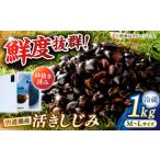 fu.... налог рыба моллюски ... Shimane Matsue город ... песок вытащенный не необходимо . дорога озеро производство . Yamato корбикула сырой ...1kg Shimane Matsue город | акционерное общество ...ALDN005 l....si...