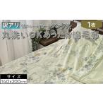 ふるさと納税 タオル・寝具 毛布 大阪府 泉大津市  ラベンダー(無地) 訳あり 丸洗いOKあったか綿毛布（綿ニューマイヤー）シングル SH-3690 ラベンダー(無地)