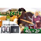 野菜類 きのこ 定期便9回 用乾燥きくらげ 40g×2P