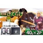野菜類 きのこ 定期便12回 用乾燥きくらげ 40g×2P