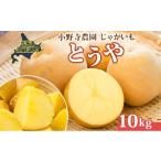 野菜類 じゃがいも R8年産 先行受付 とうや 10kg