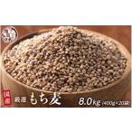ふるさと納税 雑穀 静岡県 静岡市 もち麦 8kg(400g×20袋)