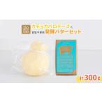 ふるさと納税 チーズ・バター 栃木県 那須町 カチョカバロチーズと発酵バター（食塩不使用）セット 〔B-125〕
