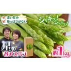 甘い 柔らかい 厳選 グリーン アスパラガス 約1kg