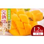 ふるさと納税 マンゴー 宮崎県 宮崎市 期間・数量限定 宮崎県産訳あり完熟マンゴー1.2kg(3〜4玉)_M359-006