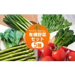 fu.... налог комплект *... префектура Аичи Toyohashi город предшествующий предварительный заказ иметь машина овощи комплект 5 вид овощи комплект иметь машина культивирование мини помидоры aspala шпинат мизуна весна . высота сахар раз свежий производство...