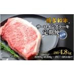 博多和牛 サーロインステーキ 定期便全6回