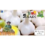 fu.... налог овощи вид приправа Aomori префектура рисовое поле . блок . мир 8 год производство утро .. прямая поставка рисовое поле .(...) сырой чеснок примерно 5kg( Aomori префектура рисовое поле . блок производство чеснок M~L размер смешивание )