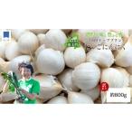 ふるさと納税 野菜類 薬味 青森県 田子町  訳あり 田子（たっこ）バラにんにく約800g（青森県田子町産にんにく中〜大粒)