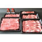 豚肉 田子牛&豚焼肉セット 宴 2種