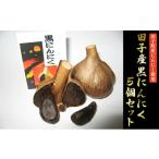 野菜類 薬味 田子産黒にんにく5個セット