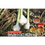 野菜類 薬味 にんにく味噌3種セット 産にんにく使用