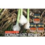 野菜類 薬味 薬膳にんにく味噌3個セット