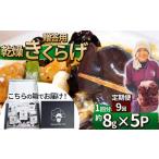 野菜類 きのこ 定期便9回 用乾燥きくらげ 8g×5P