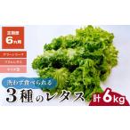 3種のレタス 1回1kg 500g×2袋