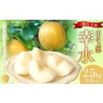 ふるさと納税 梨 岐阜県 美濃加茂市 レビューキャンペーン対象商品 《先行予約》「丸坂山田農園」 山之上梨 幸水 1箱 (約2.5kg/5〜8玉) 2025年8月上旬〜…