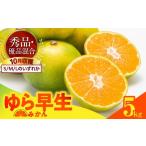 果物類 みかん ゆら早生 箱込 5kg