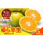 果物類 みかん ゆら早生 とにかく小玉 箱込 5kg