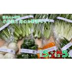 野菜類 YT10 信州のお野菜 小松菜と旬のお野菜セット