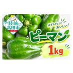 野菜類 農家直送 ピーマン 1kg