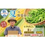 セット 詰合せ とうもろこし ゴールドラッシュ
