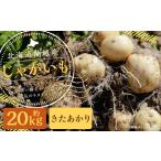 野菜類 じゃがいも 蘭越産 きたあかり 約20kg