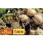 野菜類 じゃがいも 蘭越産 食べ比べ 5種類セット