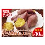 ふるさと納税 野菜類 サツマイモ 茨城県 行方市 緊急支援品 訳あり 無選別 行方台地のさつまいも 熟成紅はるか 約10kg(洗い)|さつまいも 芋 サツマイモ 紅…