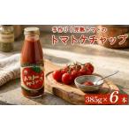 トマトケチャップ 6本セット 完熟トマト