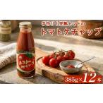トマトケチャップ 12本セット 完熟トマト