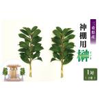 花 苗木 神棚用 榊 1対 2束