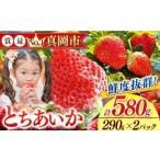 ふるさと納税 いちご 栃木県 真岡市 鮮度抜群 とちあいか 1箱 (290g×2) 580g | 選べる 容量 1箱 日本一 産地 大粒 冬 味覚 いちご 苺 イチゴ ストロベリー 大…