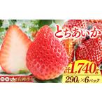 ふるさと納税 いちご 栃木県 真岡市 鮮度抜群 とちあいか 3箱 (290g×6) 1740g | 選べる 容量 3箱 日本一 産地 大粒 冬 味覚 いちご 苺 イチゴ ストロベリー …