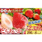 ふるさと納税 いちご 栃木県 真岡市 鮮度抜群 とちあいか 4箱 (290g×8) 1740g | 選べる 容量 4箱 日本一 産地 大粒 冬 味覚 いちご 苺 イチゴ ストロベリー …