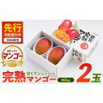 ショッピングふるさと納税 マンゴー ふるさと納税 マンゴー 鹿児島県 指宿市  2026年 発送 鹿児島県指宿市産 完熟マンゴー 2玉(約1kg)(花立山農業研究所／022-1781) マンゴー フルーツ 果物 夏 旬…