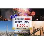宿泊券 HIS 宿泊予約専用クーポン 3 000円分