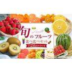 いちご 旬のフルーツセット 季節により厳選した果物を2品目…