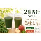 遠藤青汁とりんご青汁 冷凍 各28袋×2種セット