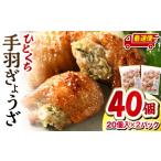 惣菜 レトルト 冷凍 最速便 ひとくち手羽ぎょうざ 計40個