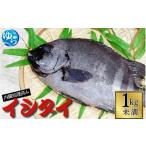 魚貝類 鯛 イシダイ 内臓処理済み1kg未満 1匹