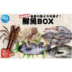 旬の鮮魚等 鮮魚BOX 内臓処理済み 2kg以上